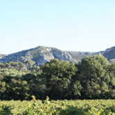 paysage des Alpilles des Beaux de Pravence