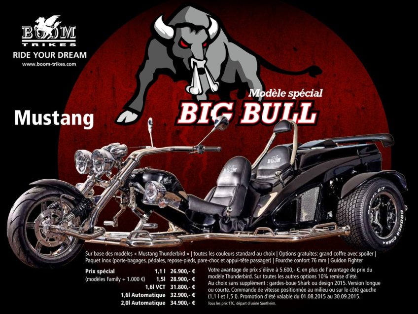Bigbull Promotion Mustang