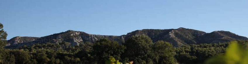Alpilles