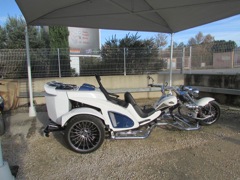 Mustang blanc et bleu côté