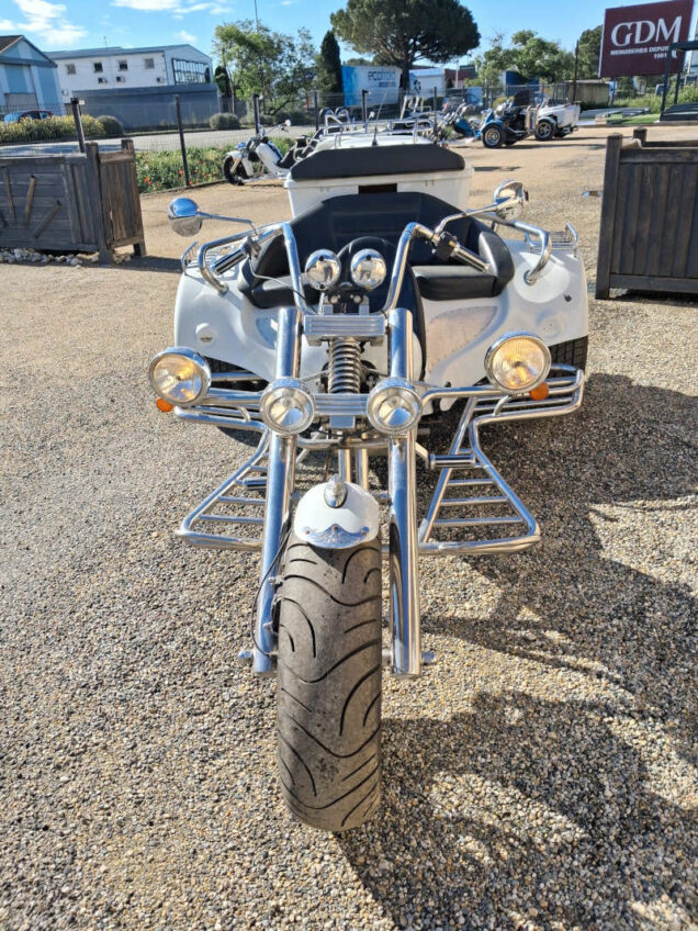 trike guidon chopper