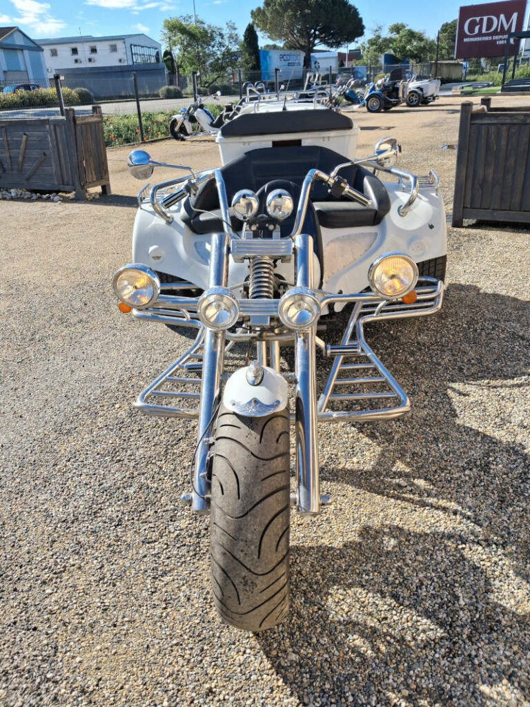 trike guidon chopper